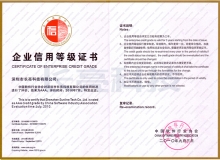 2010年中國軟件服務(wù)業(yè)信用企業(yè)出爐 長亮科技榮獲AAA級(jí)評(píng)價(jià)